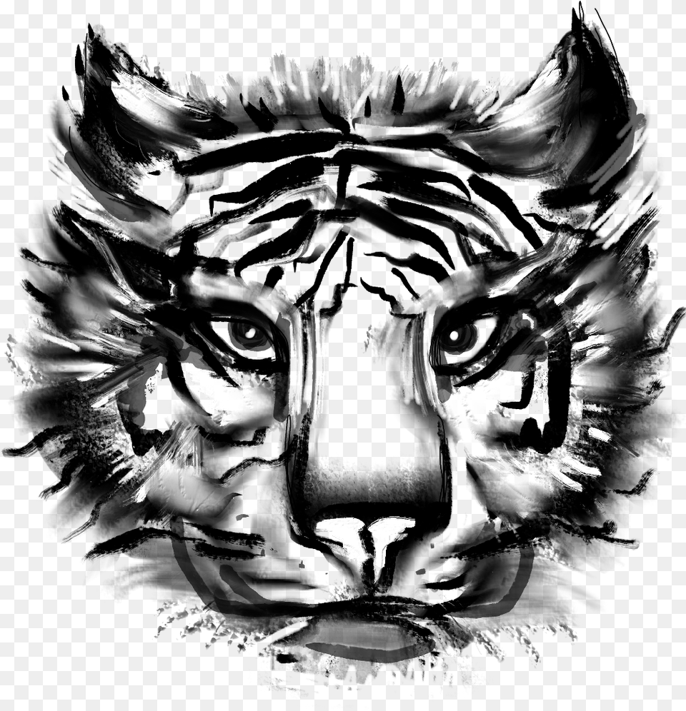 Transparent Angry Lion Siberian Tiger, Silhouette, Adult, Wedding, Person Free Png