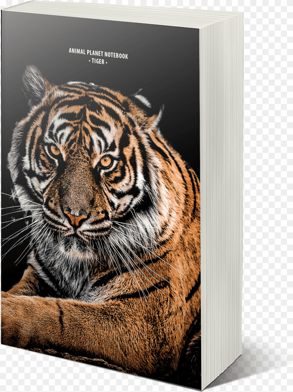 Transparent Animal Planet Tiger Wallpaper 4k Iphone, Mammal, Wildlife, Publication Png Image