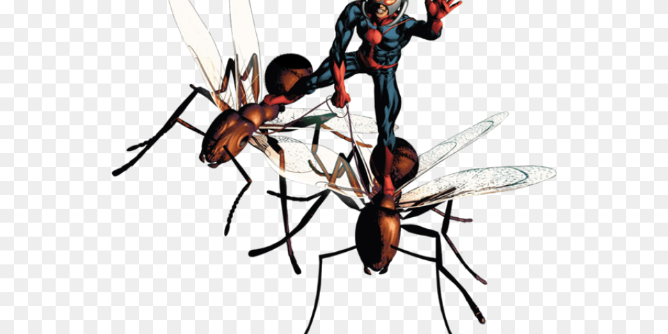 Transparent Ant Man Ant Man, Invertebrate, Animal, Bee, Wasp Free Png