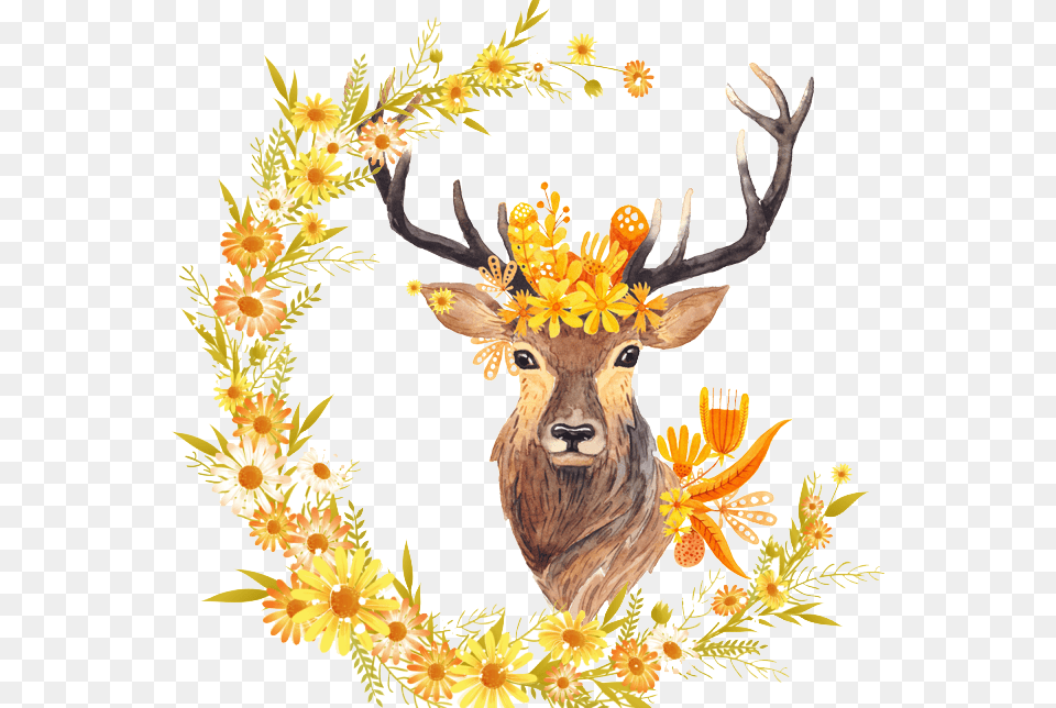 Transparent Antlers Clipart Watercolor Fall Clipart Animal, Deer, Mammal, Wildlife Free Png Download