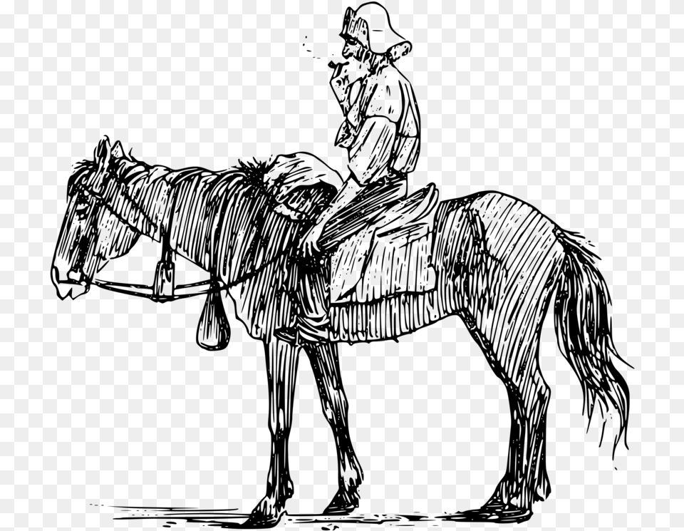 Transparent Ants Clipart Black And White Man On Horseback Drawing, Gray Png