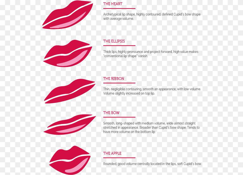 Transparent Apple Shape Clipart, Cosmetics, Flower, Lipstick, Petal Free Png Download