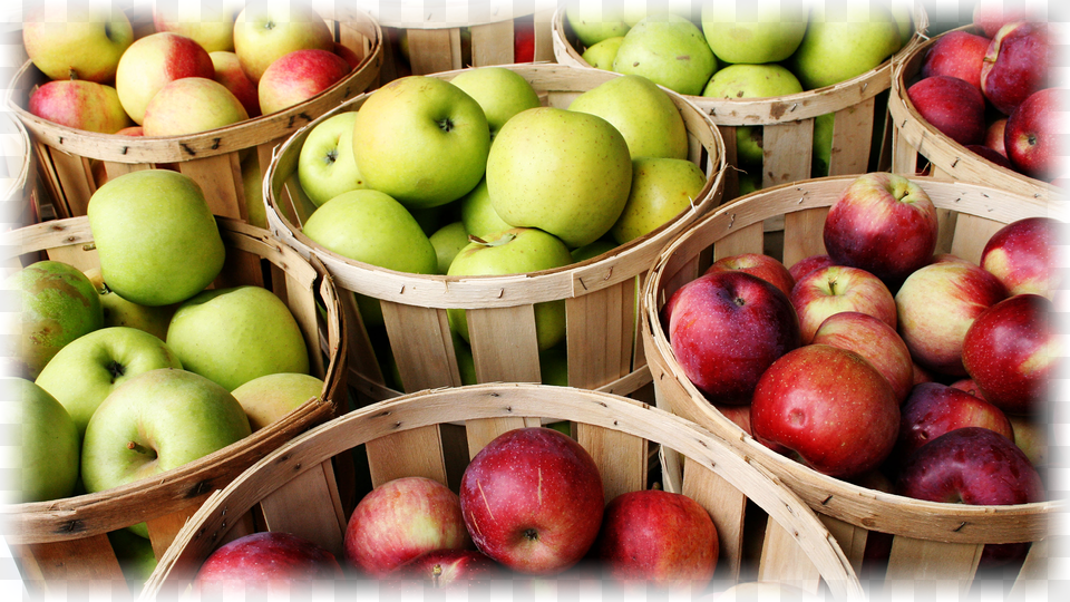 Transparent Apples Produccion De Manzanas Y Peras Png