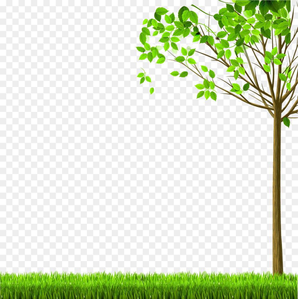 Transparent Arbol Clipart Nature, Grass, Green, Tree Trunk, Tree Png Image