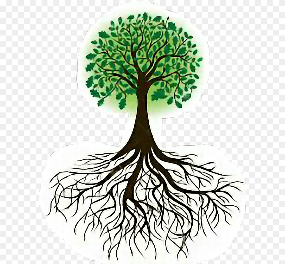 Transparent Arbol Clipart Transparent Tree Of Life, Plant, Root, Art, Person Png