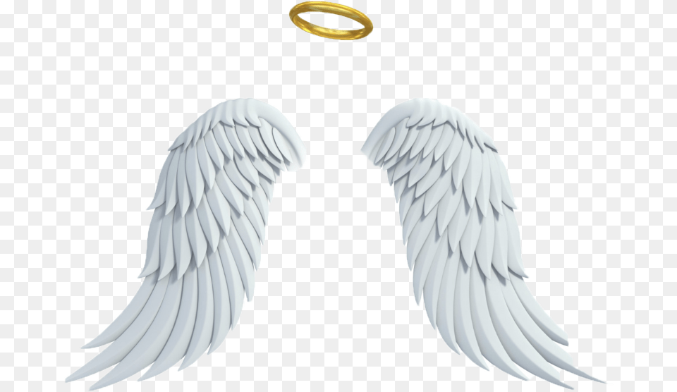 Transparent Asas Angel Wings White Background, Accessories, Animal, Bird, Jewelry Png
