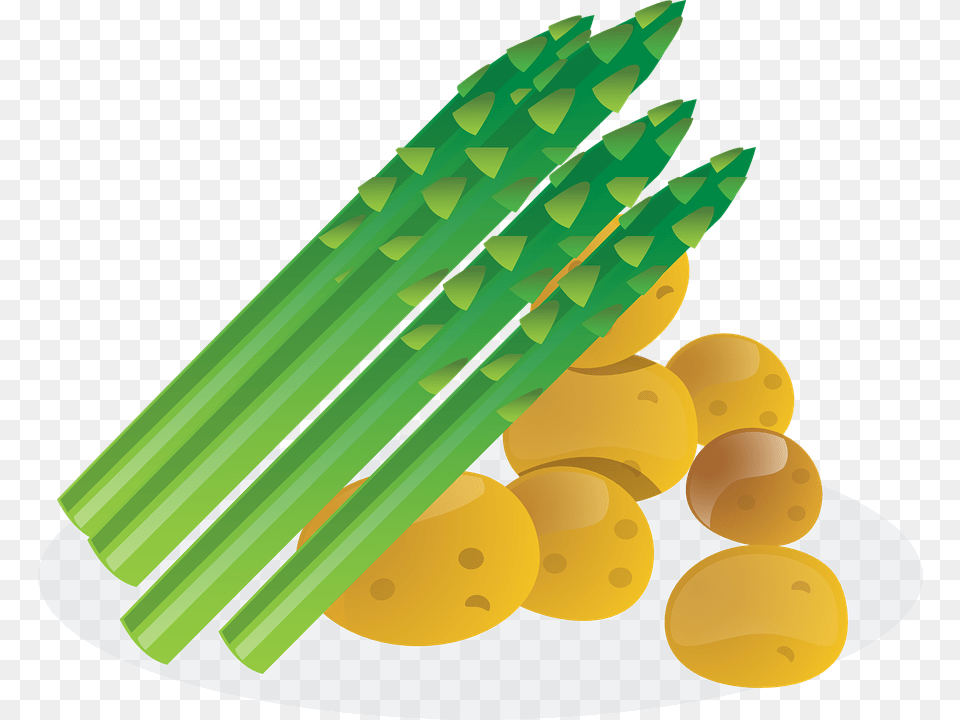 Transparent Asparagus Clipart, Food, Produce, Plant, Vegetable Png