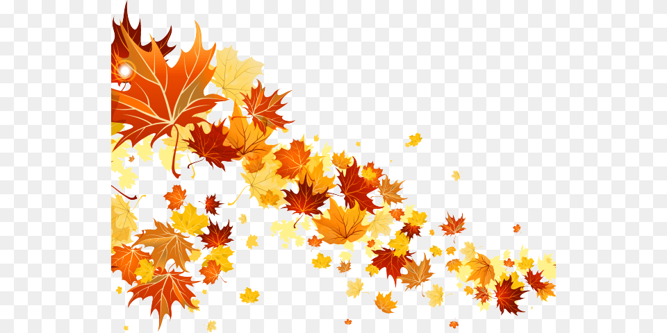 Autumn, Leaf, Plant, Tree, Maple Free Transparent Png