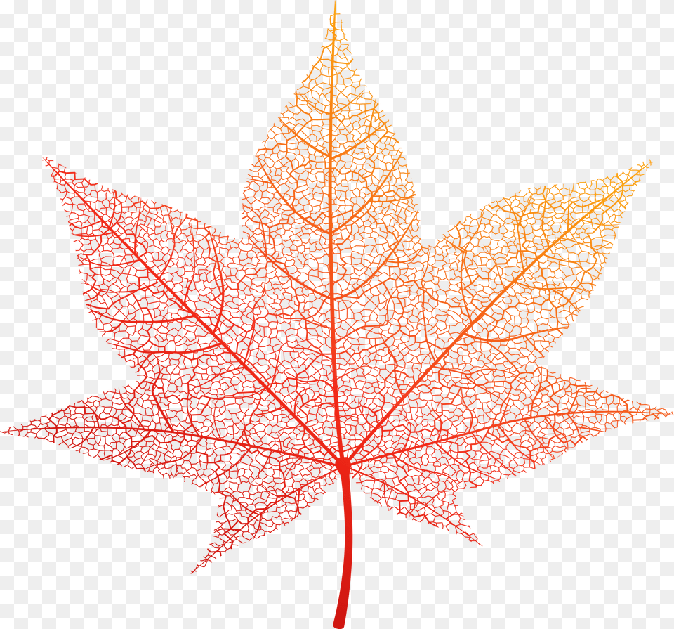 Transparent Autumn Leaf, Plant, Tree, Maple, Maple Leaf Free Png Download