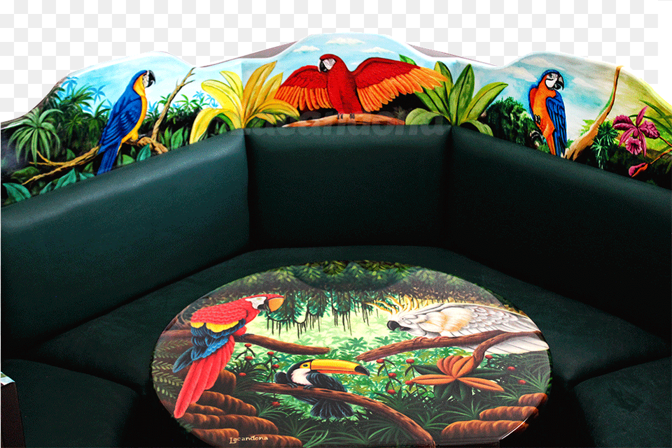 Transparent Aves, Furniture, Animal, Bird, Couch Free Png Download