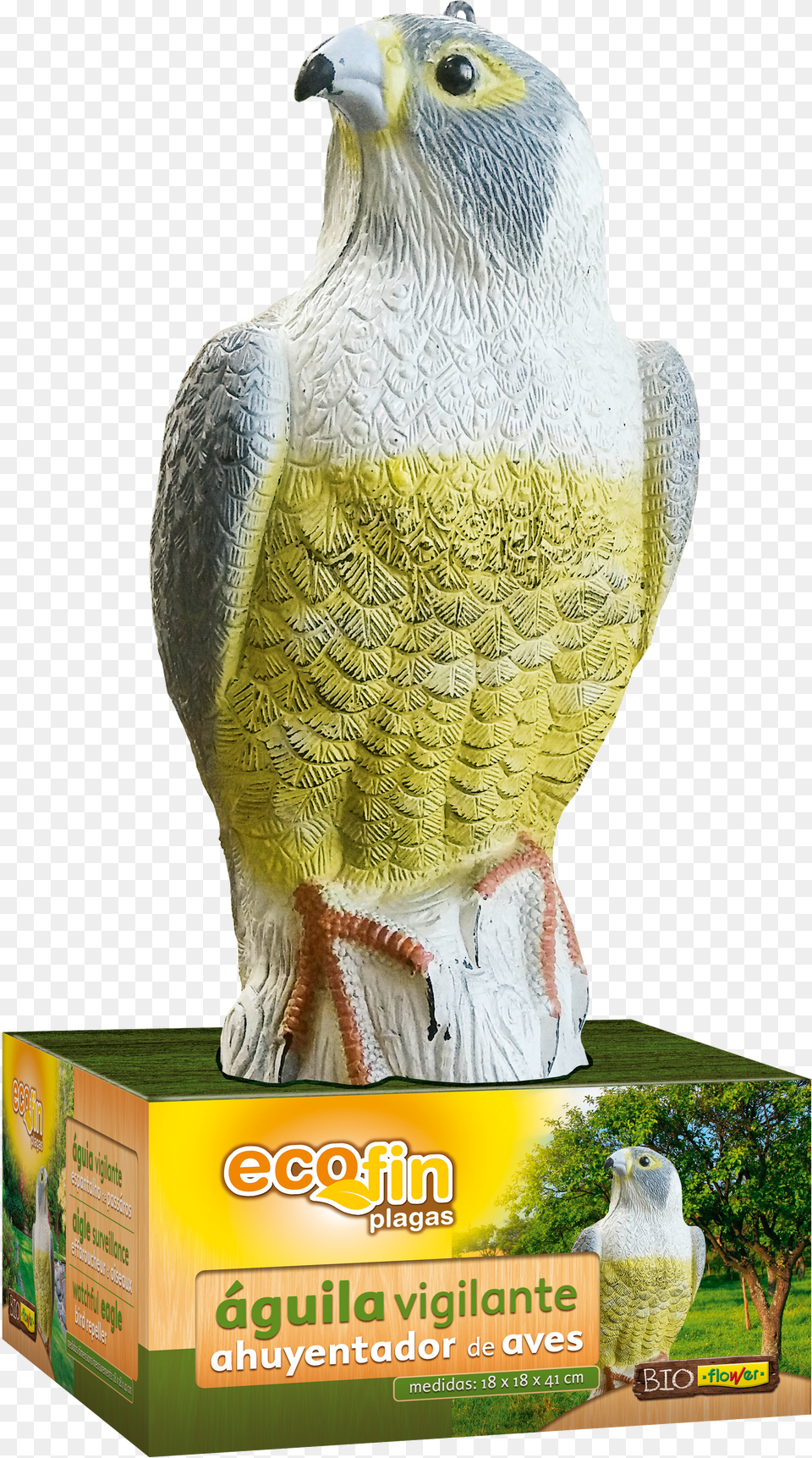 Transparent Aves Macaw Png