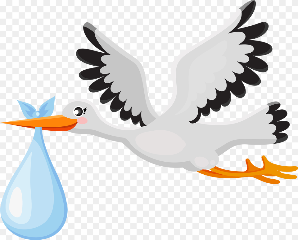 Transparent Baby Banner, Animal, Beak, Bird, Waterfowl Free Png