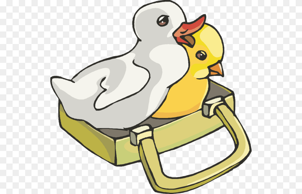 Transparent Baby Border Duck And Chick Clipart, Animal, Beak, Bird, Helmet Png