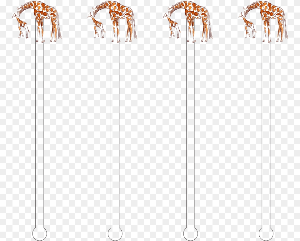 Transparent Baby Giraffe, Animal, Mammal, Wildlife, Stick Free Png Download