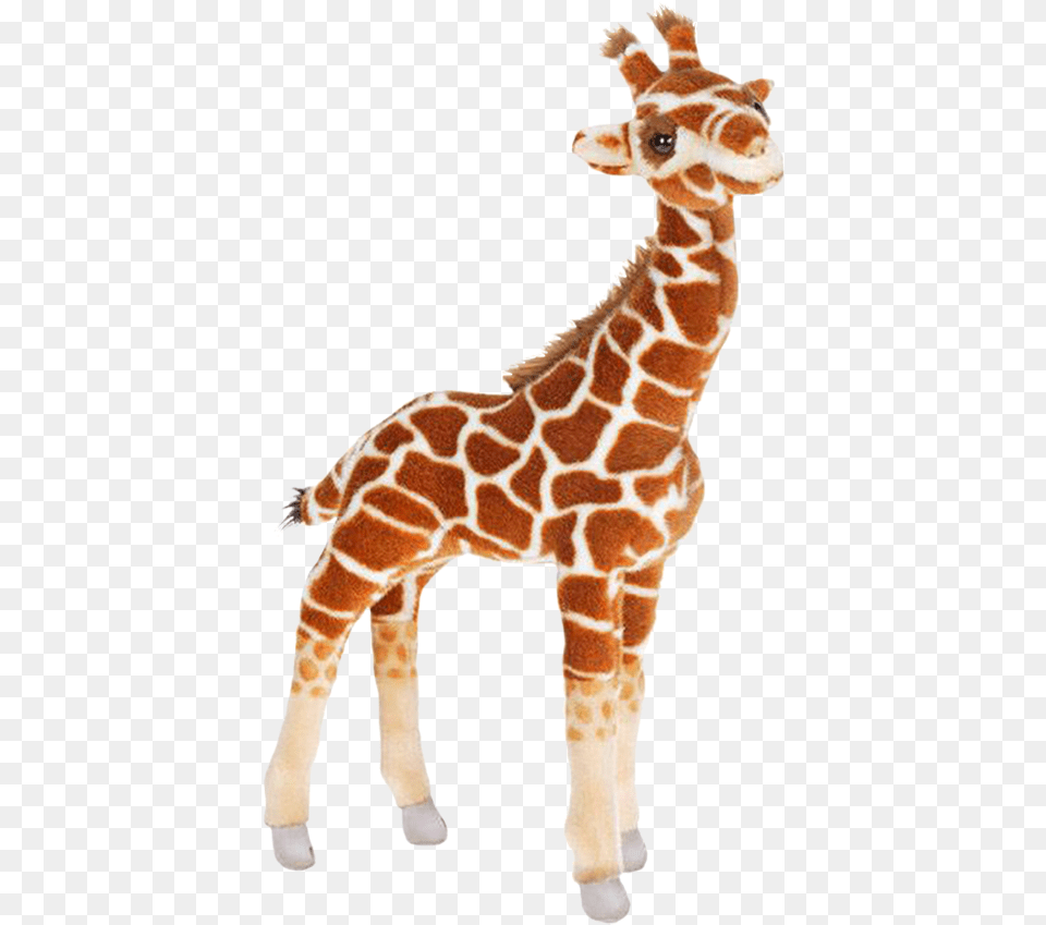 Transparent Baby Giraffe Stuffed Animal Giraffe Transparent Background, Mammal, Wildlife Free Png Download