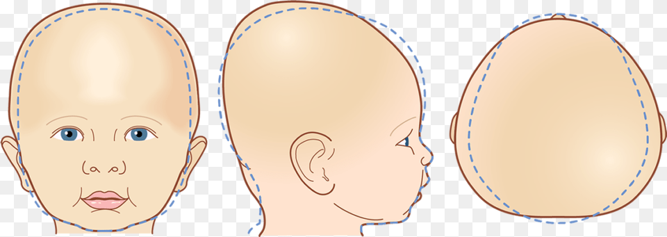 Baby Head, Person, Face, Oval Free Transparent Png