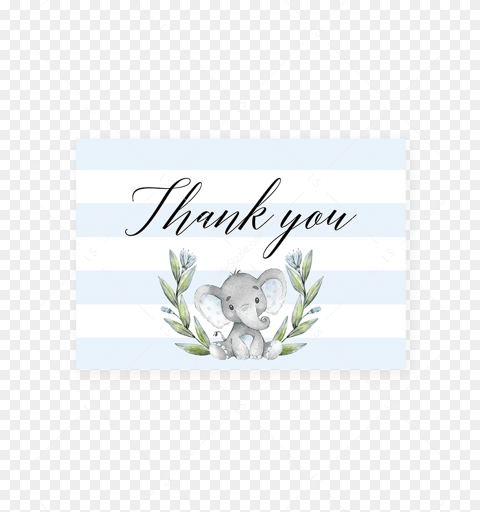 Transparent Baby Shower Elephant Baby Shower Thank You, Plant, Text Free Png Download