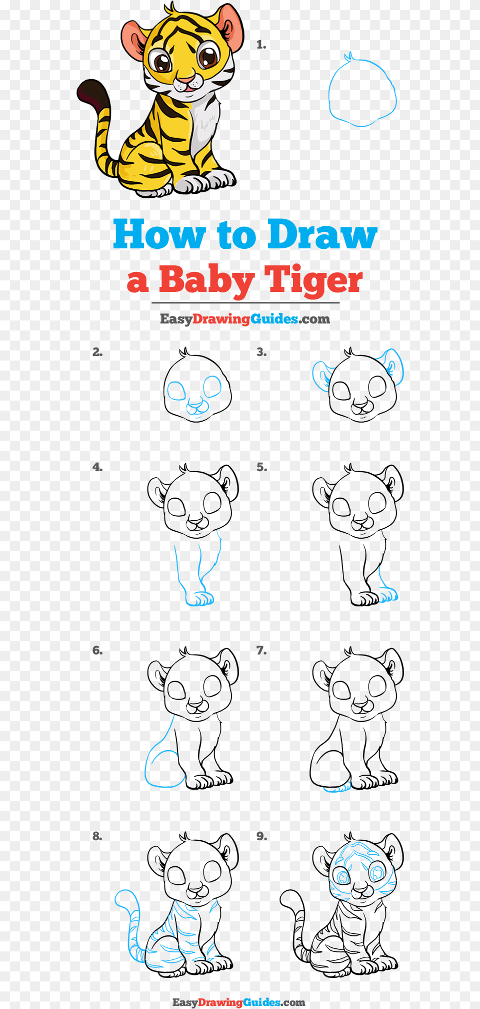 Transparent Baby Tiger Easy How To Draw A Baby Tiger, Animal, Lion, Mammal, Wildlife Png