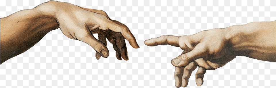 Back Of Hand Creation Of Adam Sticker, Person, Body Part, Finger, Wrist Free Transparent Png