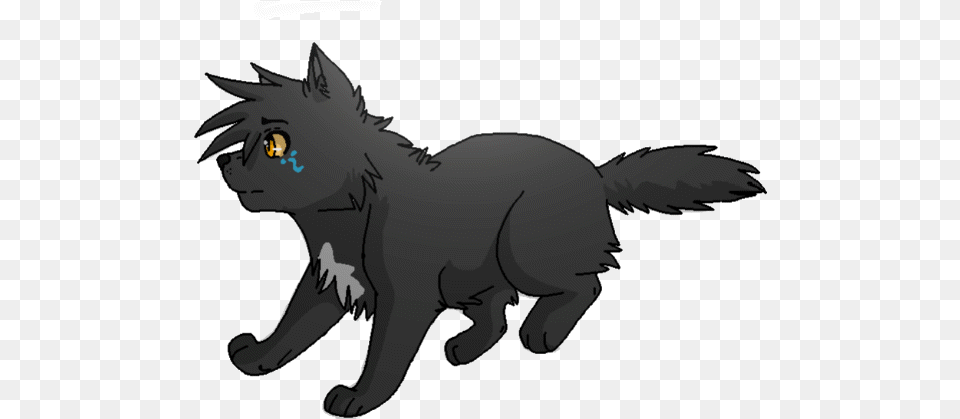 Transparent Background Anime Gif Anime Black Wolf Pup, Animal, Fish, Sea Life, Shark Free Png Download