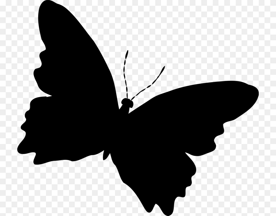 Transparent Background Black Butterfly, Gray Png