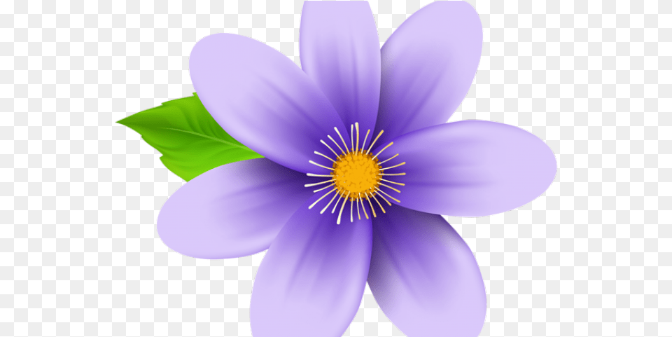 Transparent Background Blue Flower Transparent Flower Clipart, Anemone, Anther, Daisy, Plant Free Png Download