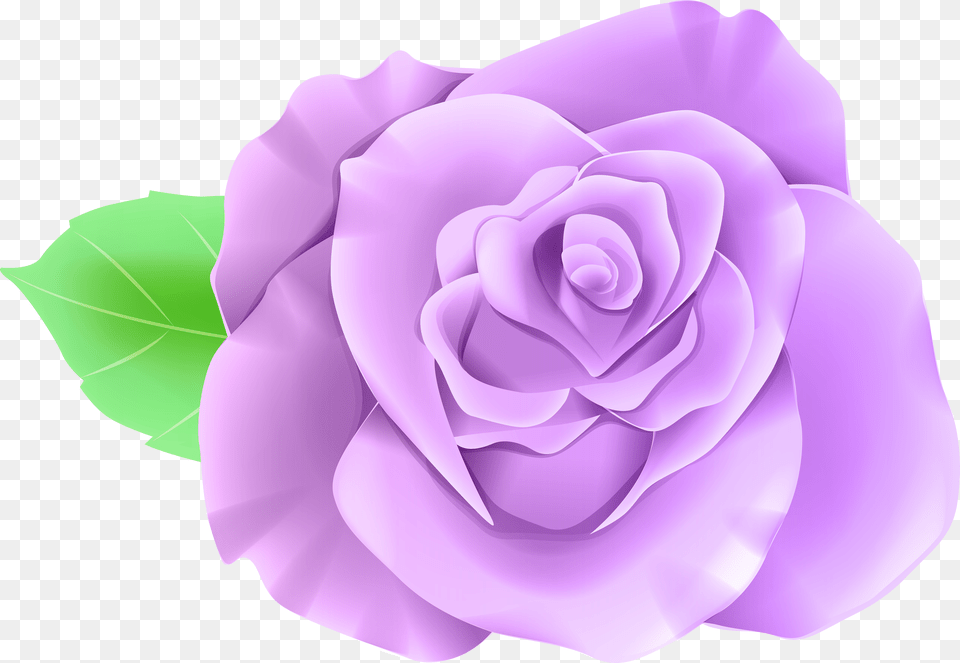 Transparent Background Blue Rose Png Image