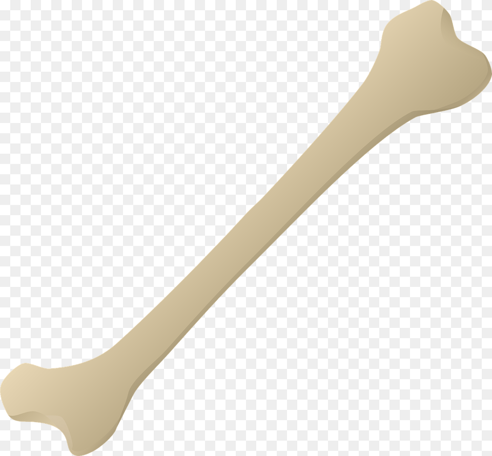 Transparent Background Bone, Cutlery, Spoon, Blade, Dagger Png