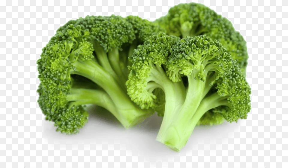 Transparent Background Broccoli, Food, Plant, Produce, Vegetable Free Png