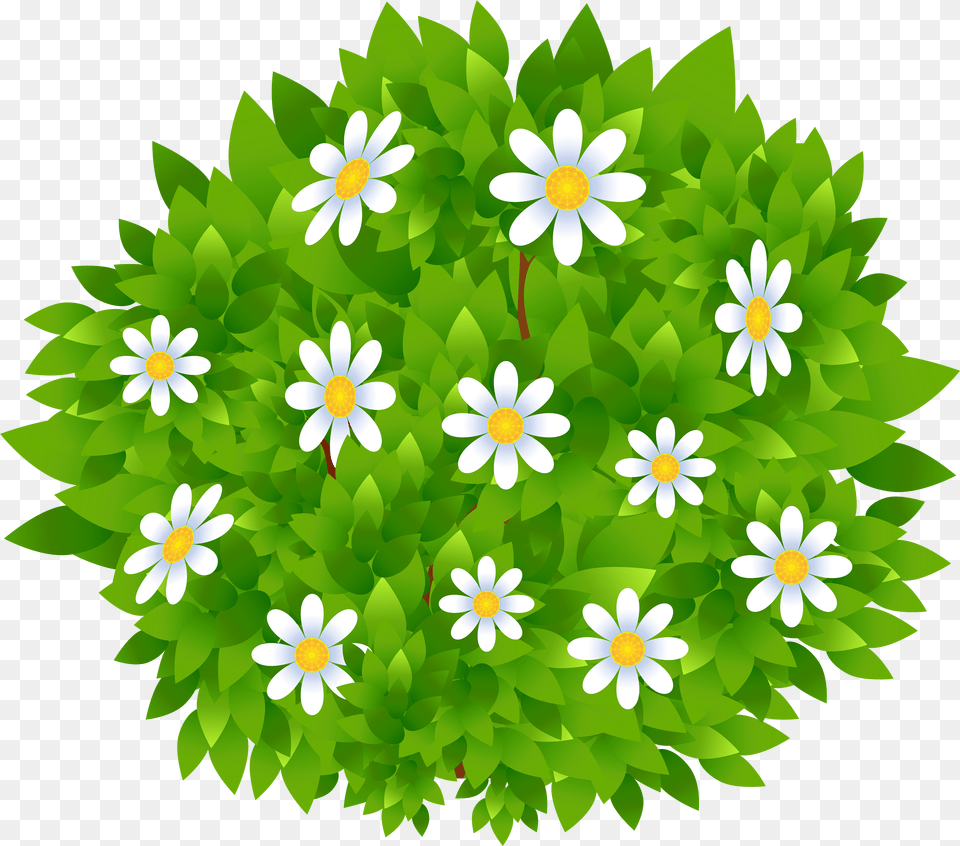 Transparent Background Bush Clipart Bushes With Flowers Clipart Free Png Download