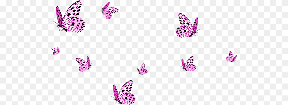 Background Butterflies, Purple, Pattern, Art, Floral Design Free Transparent Png