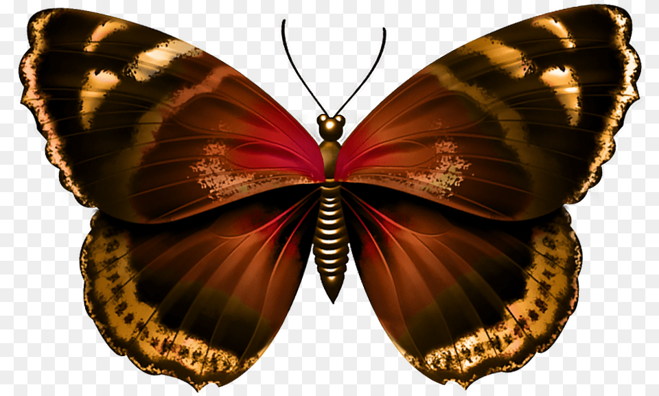 Transparent Background Butterfly, Animal, Invertebrate, Insect, Adult Free Png Download