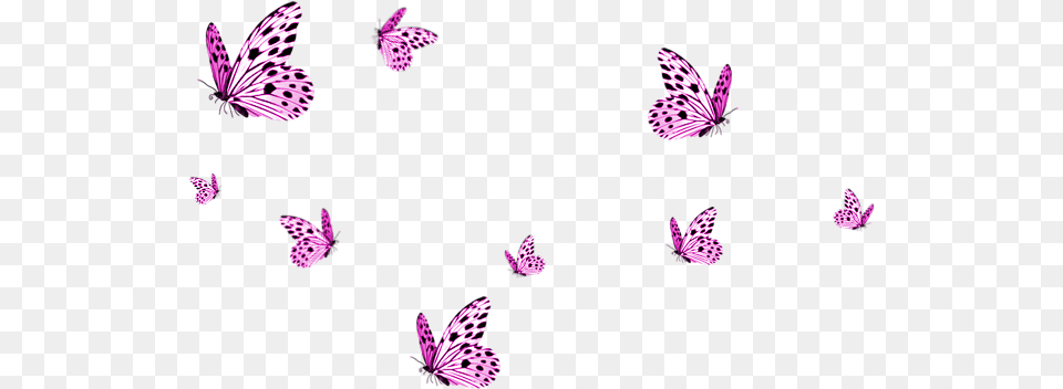 Background Butterfly, Pattern, Purple, Art, Floral Design Free Transparent Png