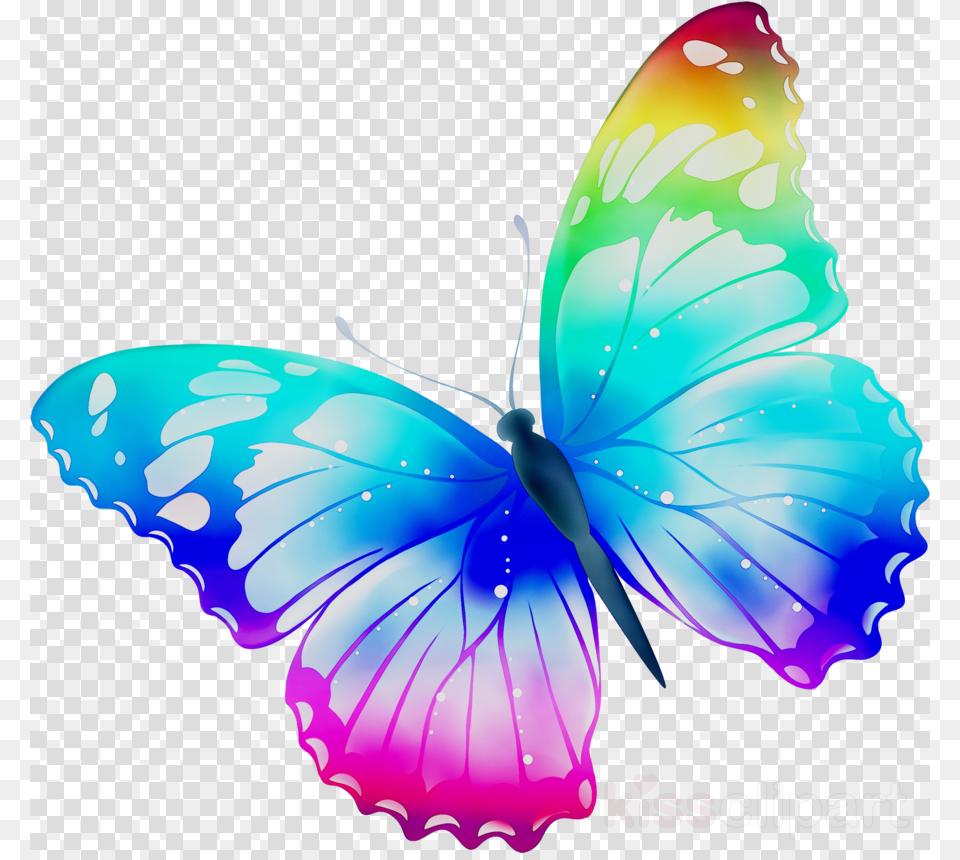 Transparent Background Butterfly Clipart, Animal, Insect, Invertebrate Free Png Download
