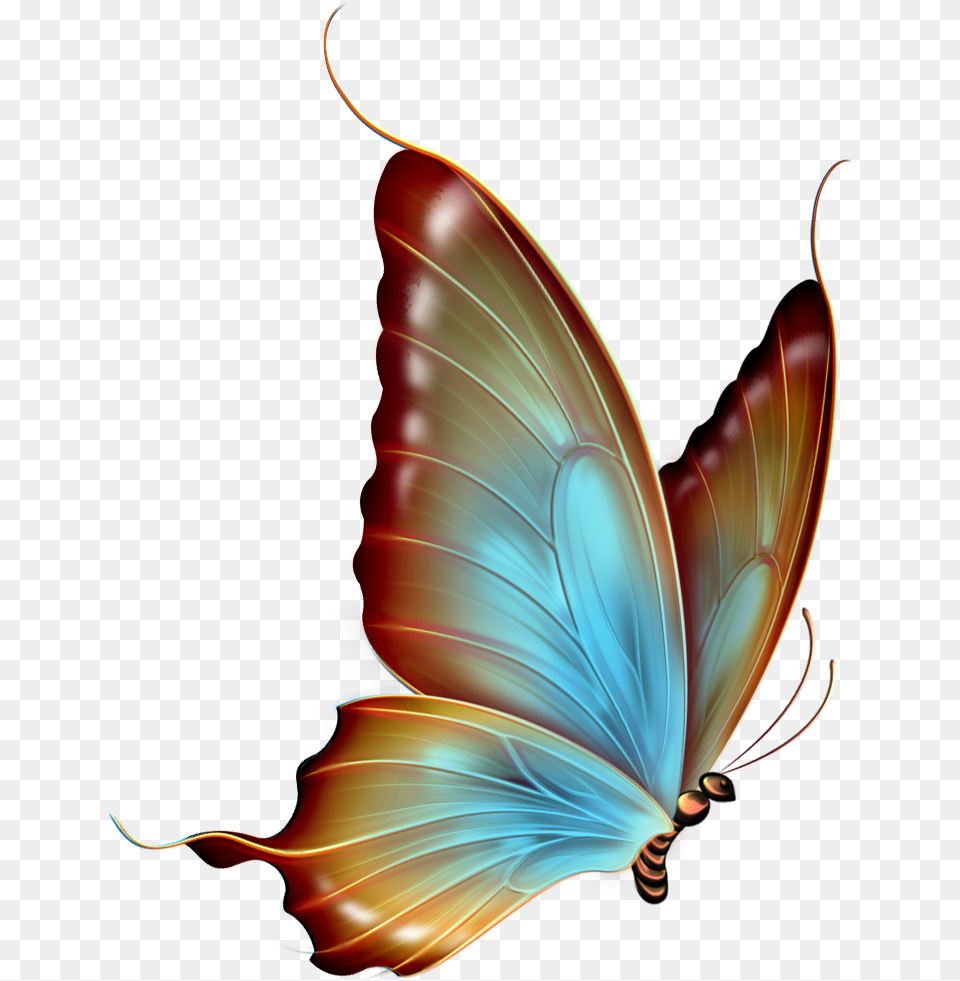 Transparent Background Butterfly Clipart, Pattern, Accessories, Person, Fractal Png