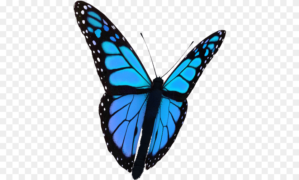 Background Butterfly Gif, Animal, Insect, Invertebrate Free Transparent Png