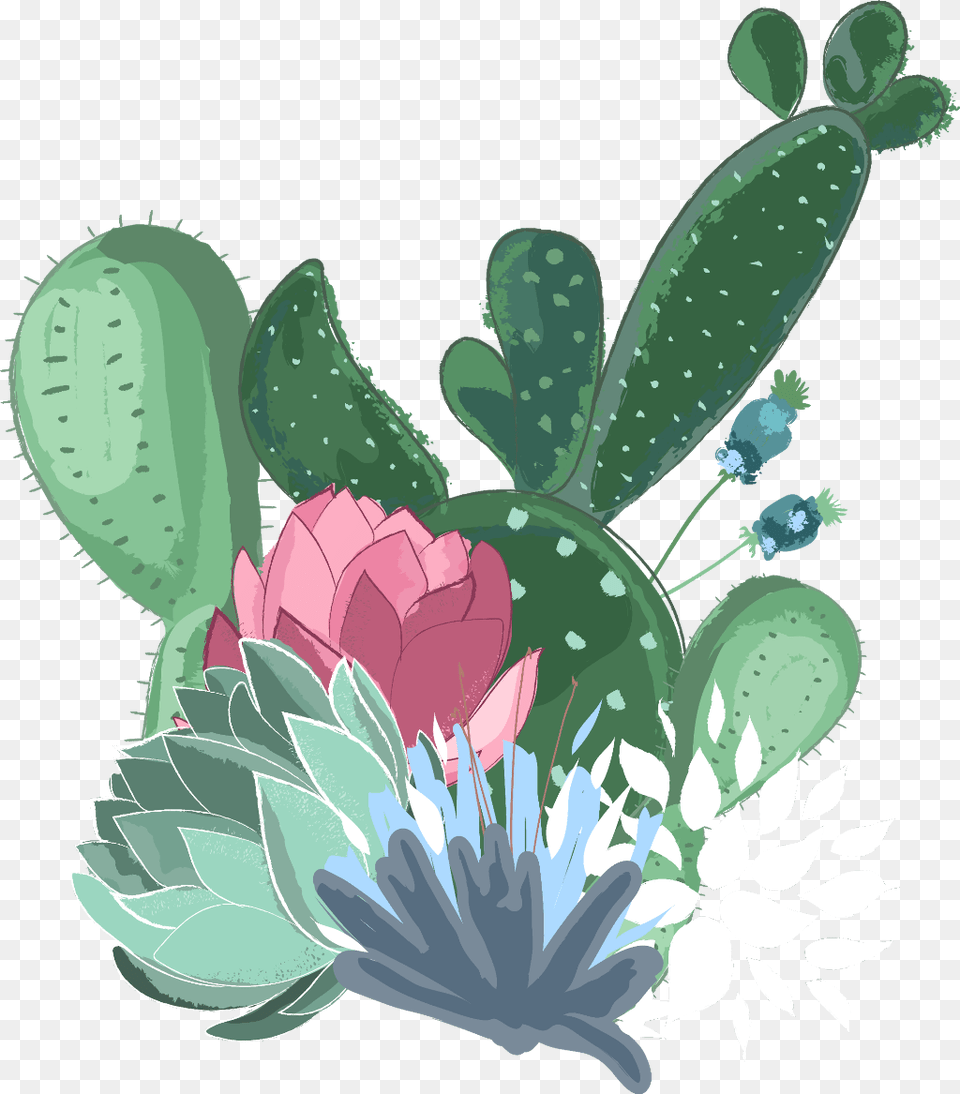Transparent Background Cactus Clipart, Plant, Pattern Png Image