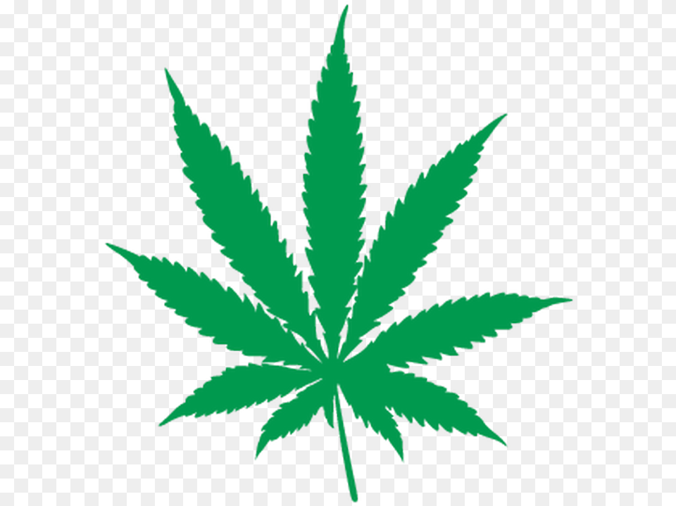 Transparent Background Cannabis Leaf, Plant, Weed, Hemp Png Image