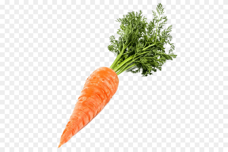 Transparent Background Carrot Transparent Background Carrot, Food, Plant, Produce, Vegetable Png Image