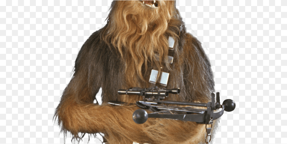 Transparent Background Chewbacca, Adult, Female, Person, Woman Free Png Download