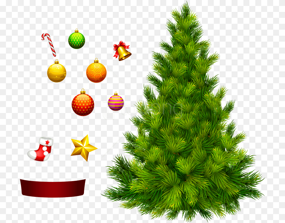 Transparent Background Christmas Tree, Plant, Pine, Christmas Decorations, Festival Png