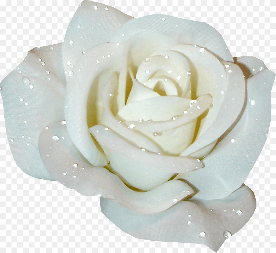 Transparent Background Clipart White Wedding Flowers, Flower, Plant, Rose, Petal Png