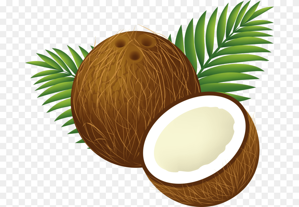 Background Coconut Clipart, Food, Fruit, Plant, Produce Free Transparent Png