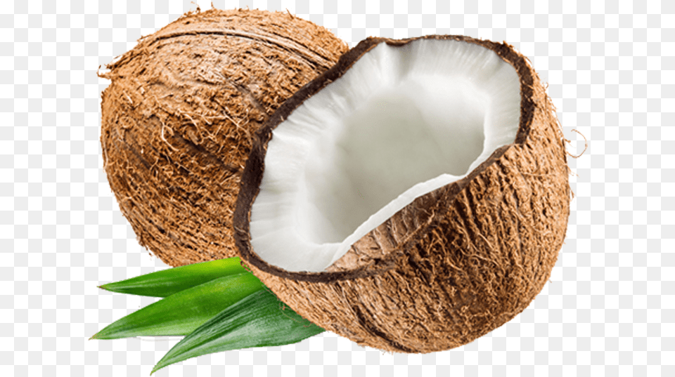 Background Coconut Background Coconut Food, Fruit, Plant, Produce Free Transparent Png