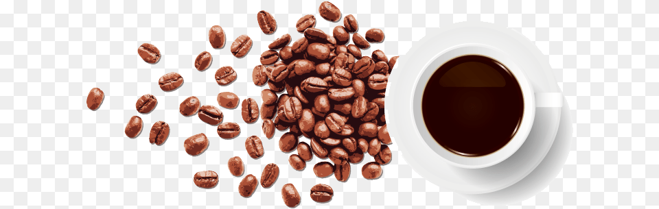 Transparent Background Coffee Bean, Cup, Beverage, Coffee Cup Free Png Download