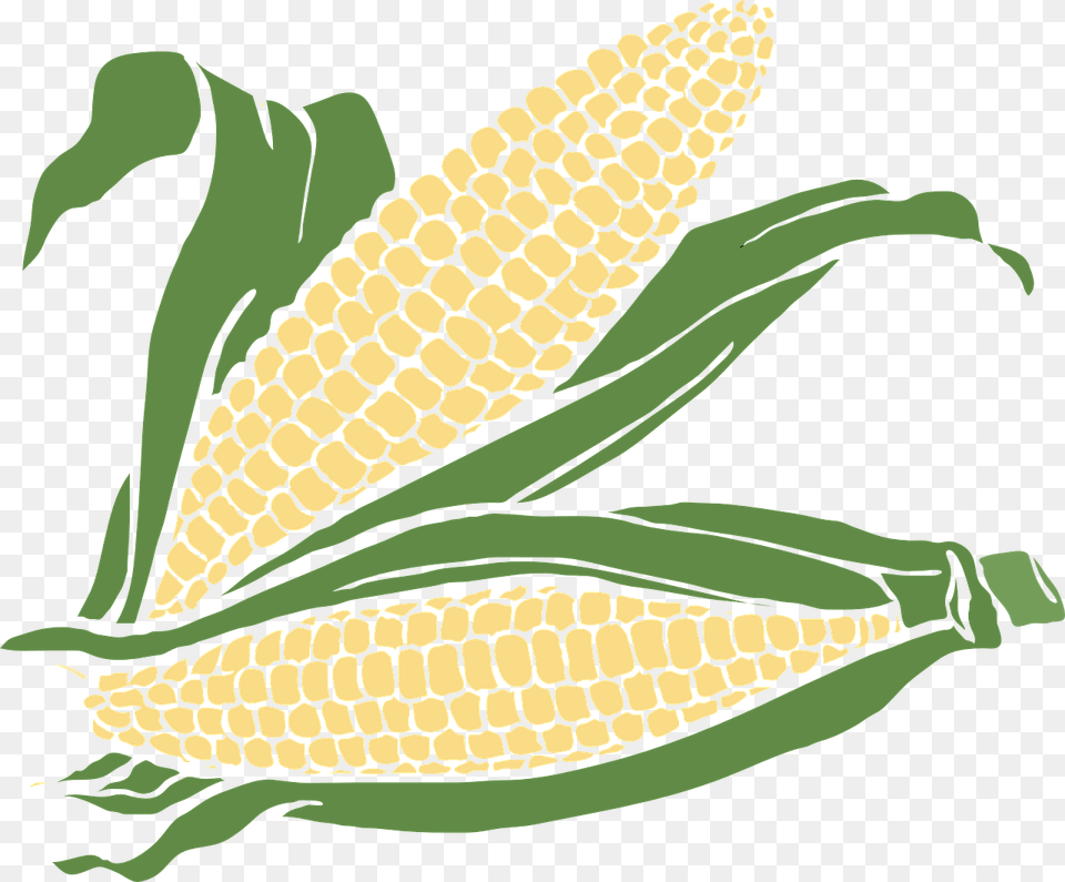 Transparent Background Corn Clipart, Food, Grain, Plant, Produce Png Image