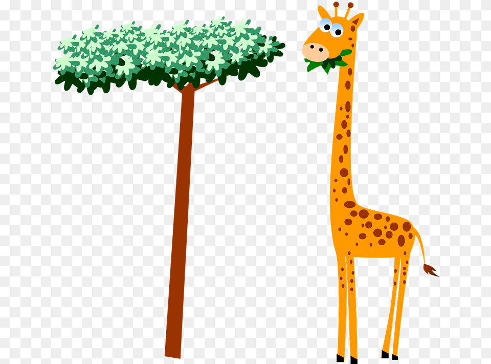 Transparent Background Cute Giraffe Clipart, Animal, Mammal, Wildlife Png