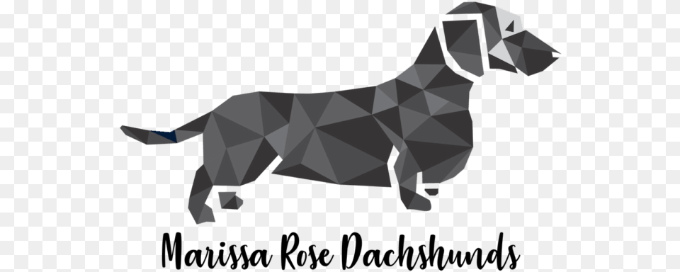 Transparent Background Dachshund Clipart, Art, Animal, Canine, Mammal Png Image