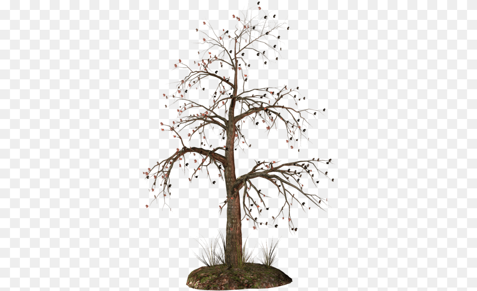 Transparent Background Dead Tree, Plant, Potted Plant, Wood, Bonsai Png