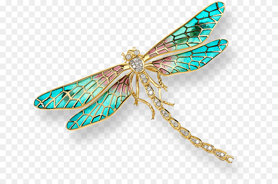 Transparent Background Dragonfly Transparent Background Dragonfly, Accessories, Jewelry, Animal, Insect Free Png Download